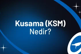 Altcoin Kusama (KSM) Coin
